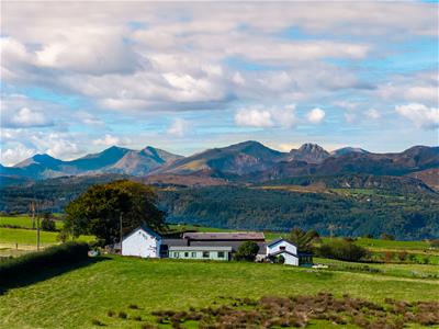 Click to view more details